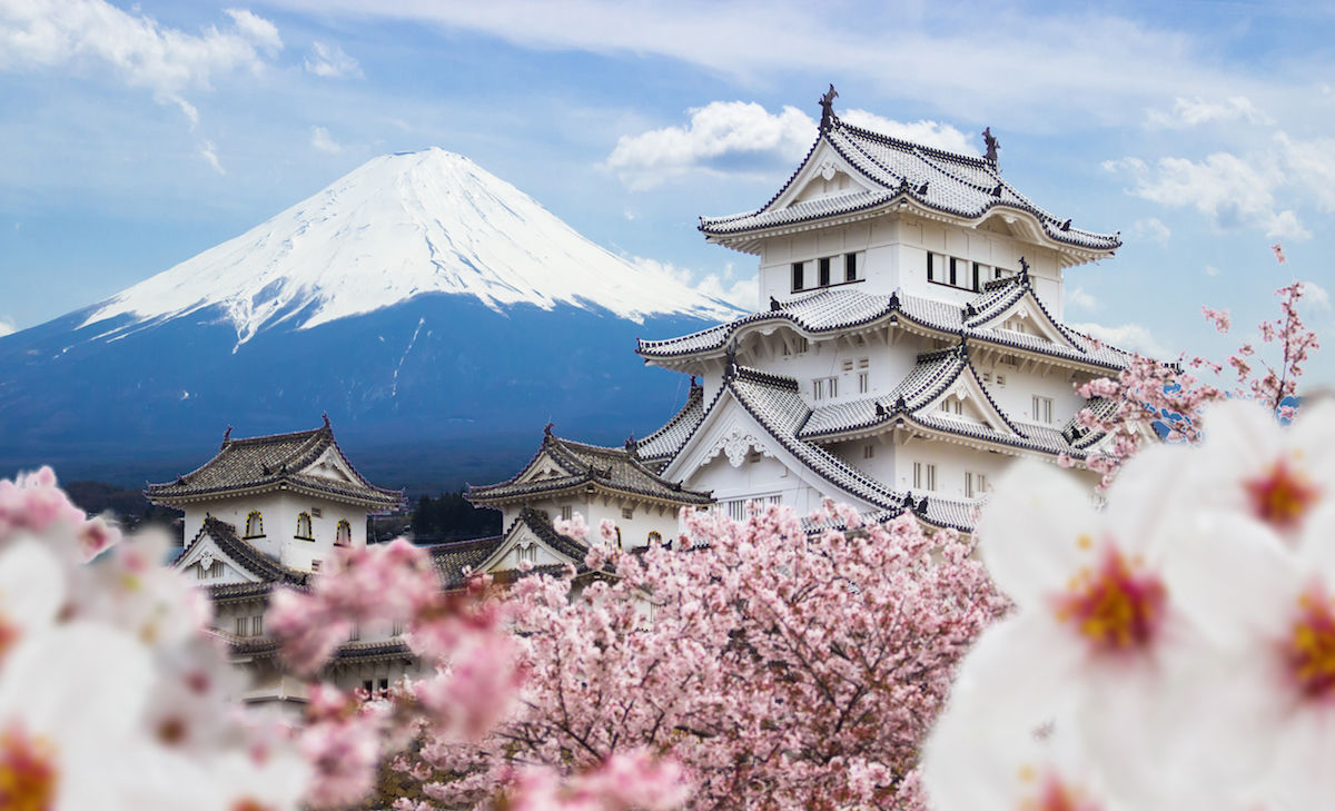 Japan Mount Fuji with Shrine and cherry blossoms